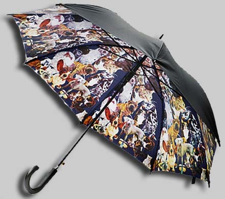 [Ted-Baker-umbrella[5].jpg]