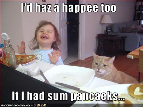 funny-pictures-cat-wants-pancakes.jpg.jpeg
