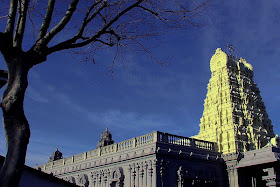 Videshi Indian Temple Pictures
