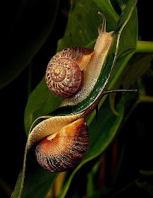 Interesting Moments - You'll Love these Photos