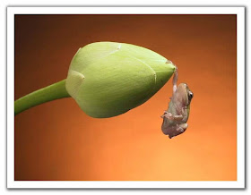 Interesting Moments - You'll Love these Photos