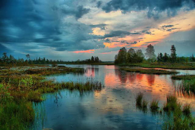 Color of Nature: Shades of Light