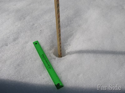 March 15 Snowstick