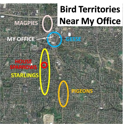 Bird Territories Office
