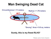Dead Cat Swinging