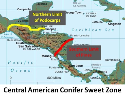 Sweet Zone Map