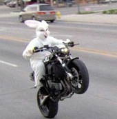 easter-bunny-motorcycle