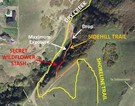 DC Sidehill Map cut