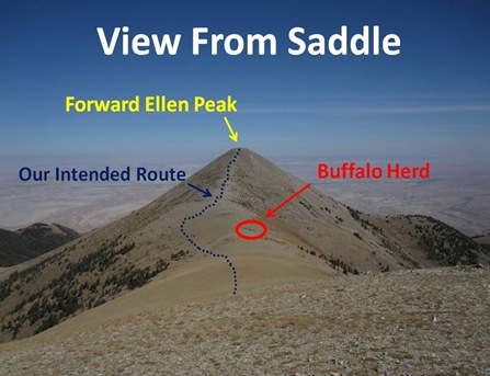 Saddle View