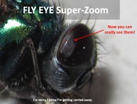 GBF Eye Superzoom1