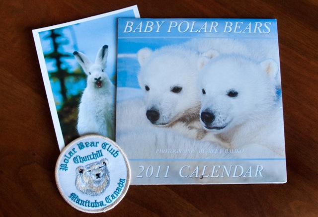 polar-bear-giveaway-prizes