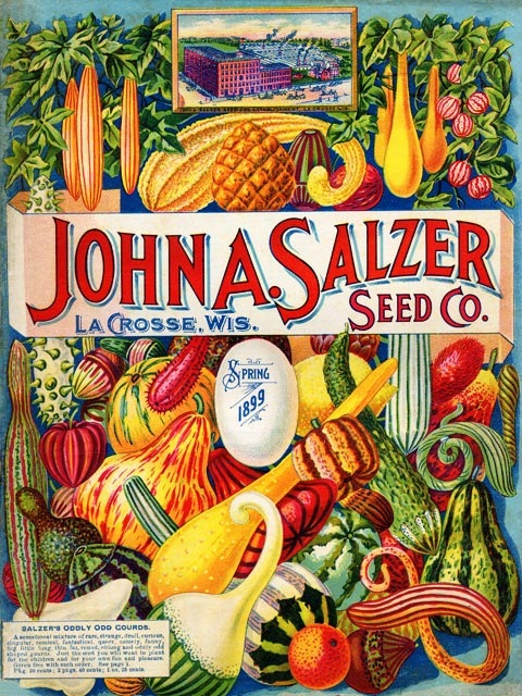 salzer-seed-company