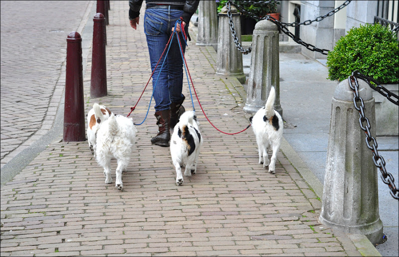 amsterdam 2010. part 3