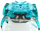 crab