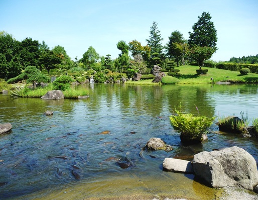 8. ushiku daibutsu lago