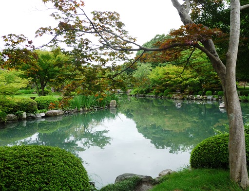 11. templo Toji - jardim - lago