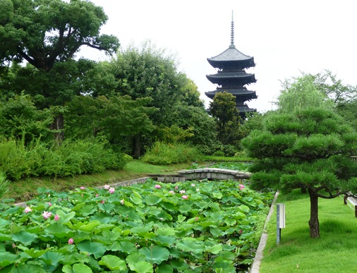 5.templo Toji- pagode e flor de lotus