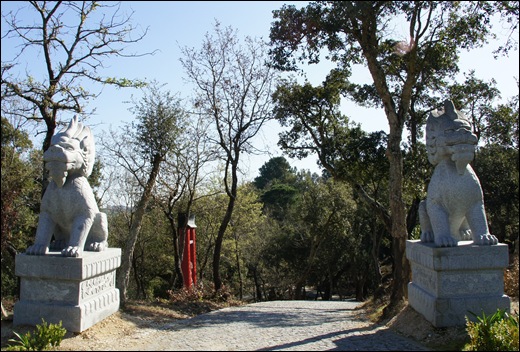 Buddha Eden - entrada da floresta
