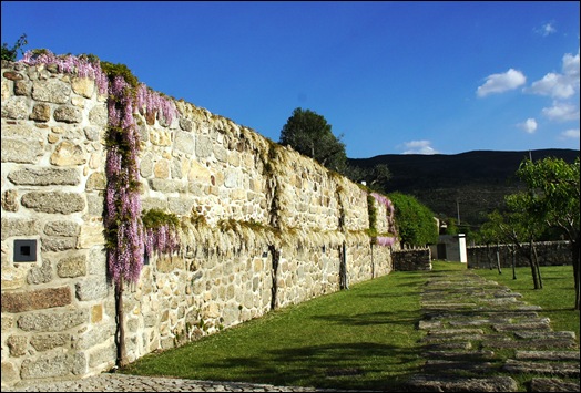 Linhares - inatel - muro com glicínias