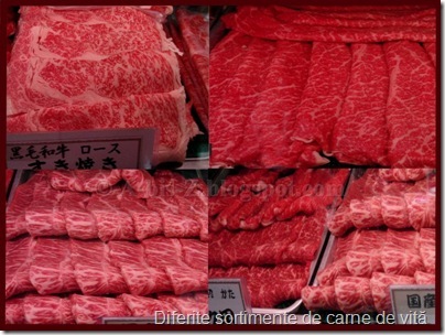 [fleisch_thumb3[1].jpg]