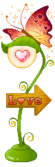 16.png