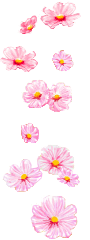 20.gif
