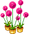 83.png