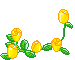 29.png