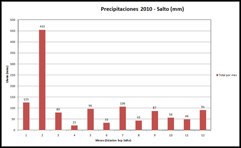 Precipitaciones año 2010