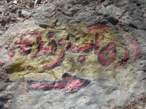 نشاط کوهستان را در گوگل سرچ کنید