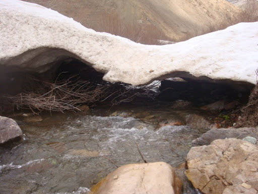 نشاط کوهستان 