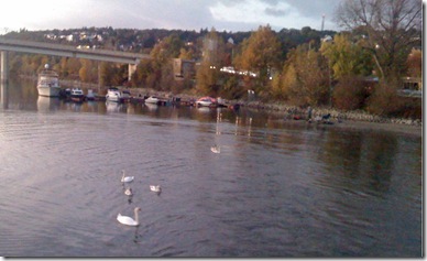 German Country and Swans
