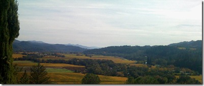 Napa Valley View