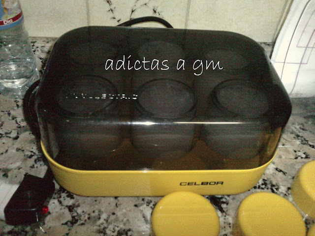 yogurtera%20retro.JPG
