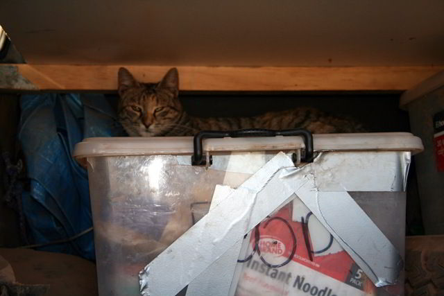[Food box. Stowaway optional.[4].jpg]