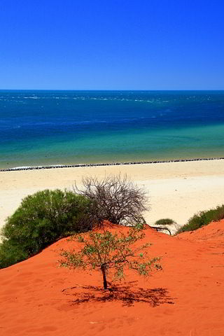 [Red sand and sea - Francois Perron National Park - Western Australia - Australia[5].jpg]