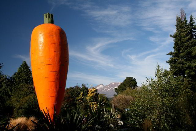[Giant Carrot of Ohakune[3].jpg]