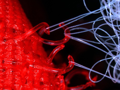 [velcro1[4].jpg]