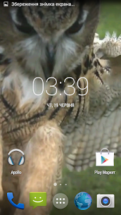 Flying Owl Live Wallpaper(圖5)-速報App