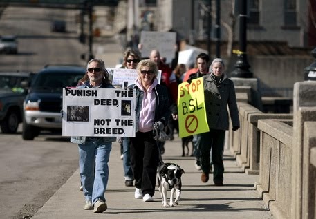 Top Dog Blog Pit Bull Controversy