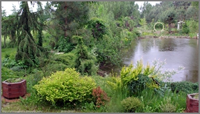 Babij Garden Budziarze - Mój ogród półdziki