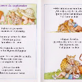 PDF-5.jpg
