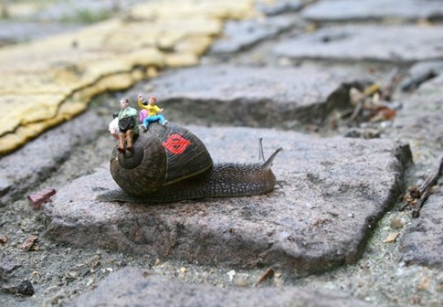 snail bus 1 - blog