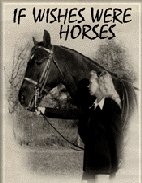 If-Wishes-Were-Horses-LGE