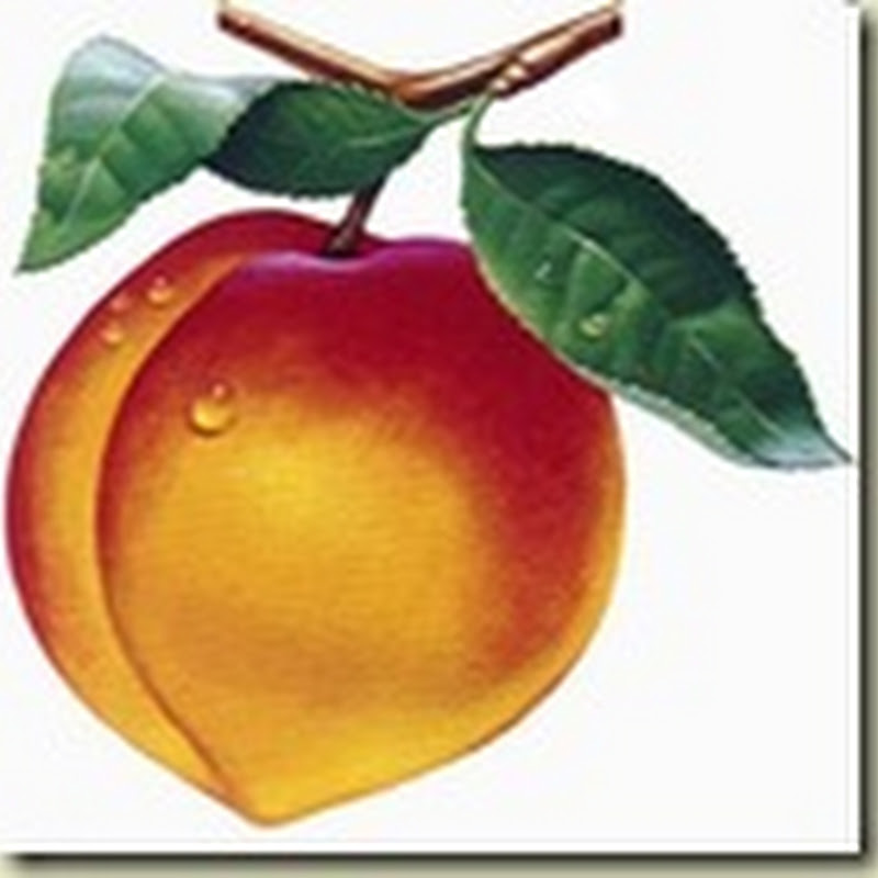 Peaches But No Cream? Nuclear Plant Funding in Georgia