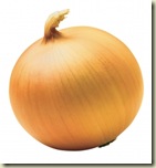 yellow_onion1
