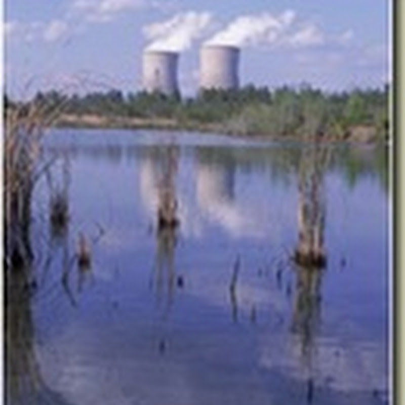 Saving Money on Your Next Nuclear Plant