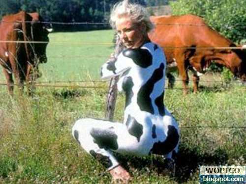 Cow Camouflage