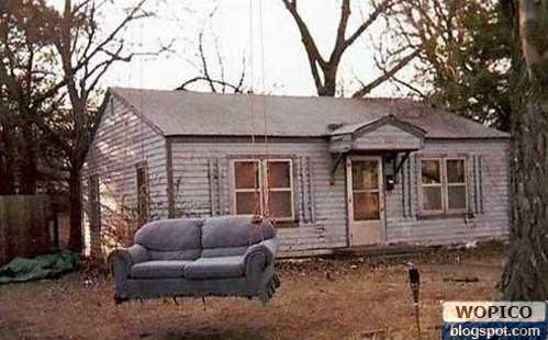 Sofa%20Swinger.jpg