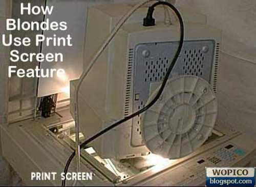Print%20Screen%20Alternative.jpg